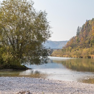 Drau