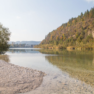 Drau