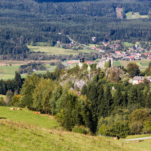 Burgruine Finkenstein