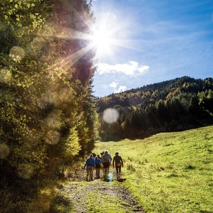 Wandern