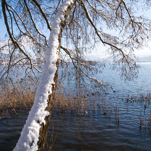 Winter in Pörtschach