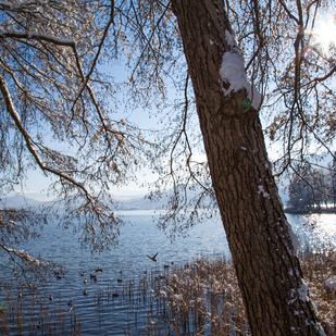 Winter in Pörtschach