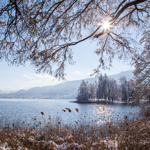 Winter in Pörtschach