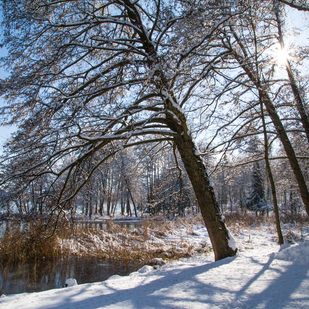 Winter in Pörtschach