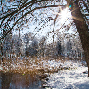 Winter in Pörtschach