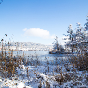 Winter in Pörtschach