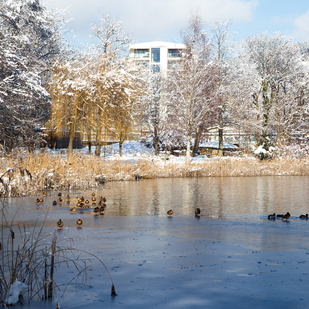 Winter in Pörtschach