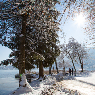 Winter in Pörtschach