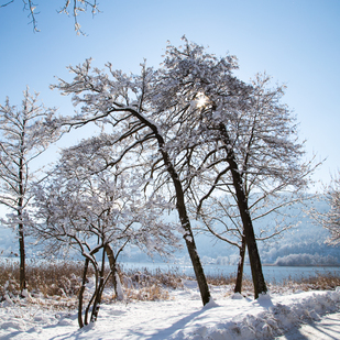 Winter in Pörtschach