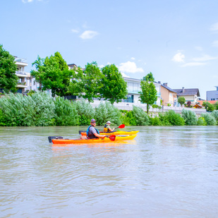 Draupaddelweg