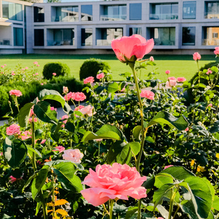 Rosengarten Schloss Hotel
