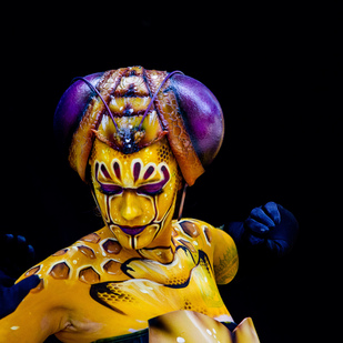 World Bodypainting Festival