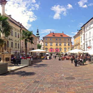 Fuzo im Sommer