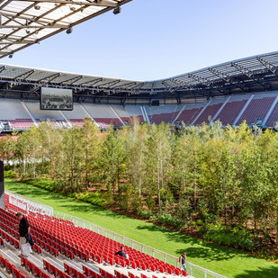 For Forest
