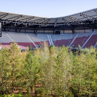 For Forest