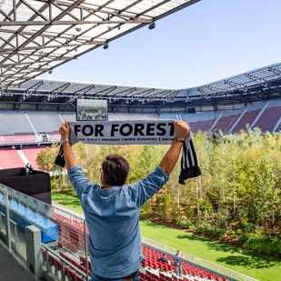 For Forest