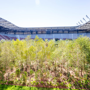 For Forest