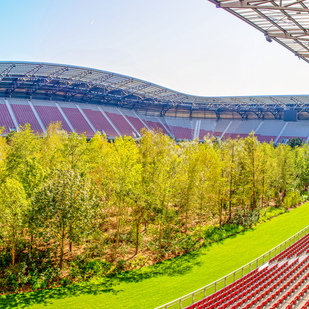 Stadion