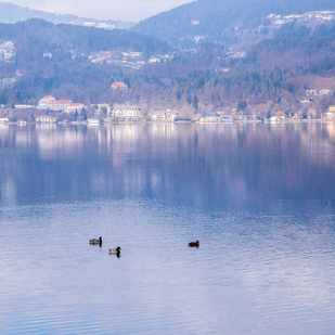 Winter am Südufer