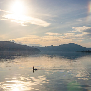 Herbst Wörthersee