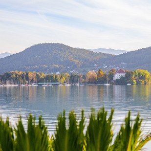 Herbst Wörthersee