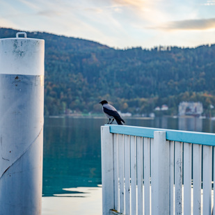 Herbst Wörthersee