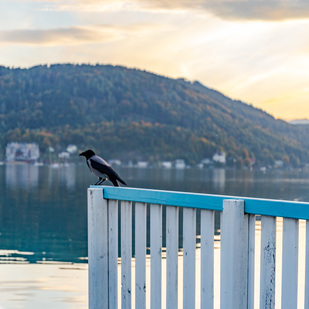 Herbst Wörthersee