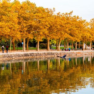 Herbst Wörthersee