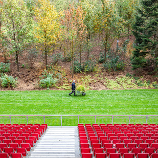 Stadionwald