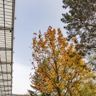 Stadionwald