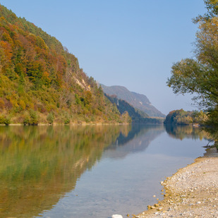 Drau