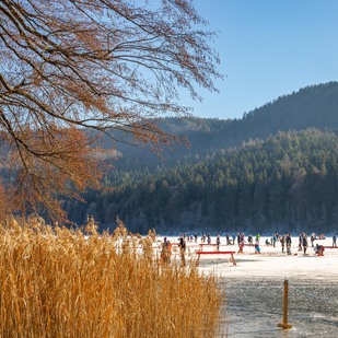 Eislaufen