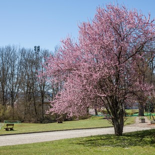 Gemeindeamt Keutschach