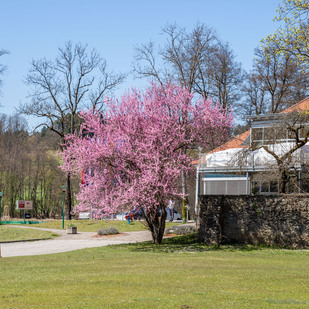 Gemeindeamt Keutschach