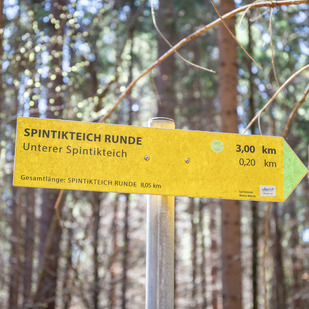 Oberer Spintikteich