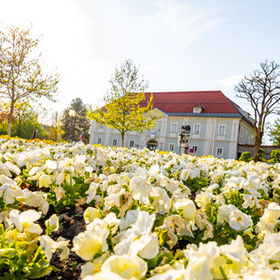 Kleinmayrhaus Standesamt