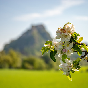 Burg Hochosterwitz