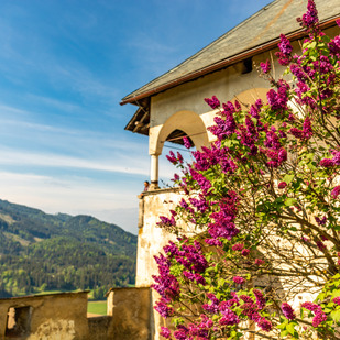 Burg Hochosterwitz
