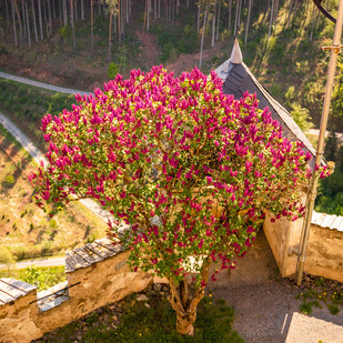 Burg Hochosterwitz