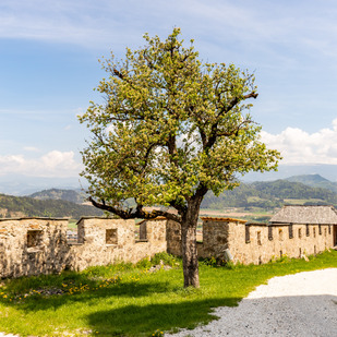 Burg Hochosterwitz