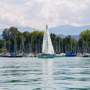 Boote