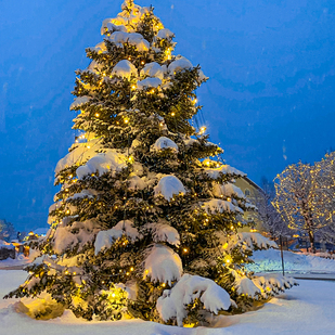 Velden im Schnee