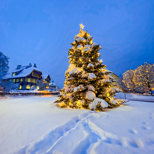 Velden im Schnee