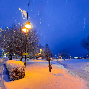 Velden im Schnee