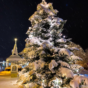 Velden im Schnee