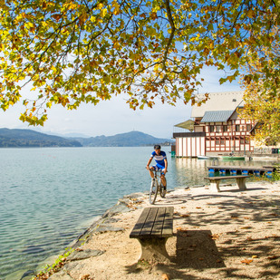 Schwimmen am See