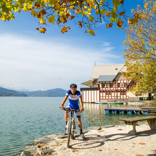 Schwimmen am See