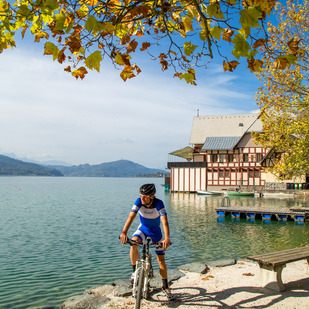 Schwimmen am See