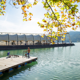 Schwimmen am See