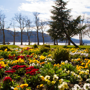 Frühling